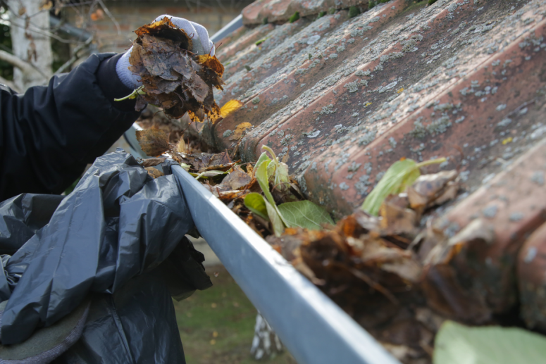 gutter cleaning services in Queens Park
