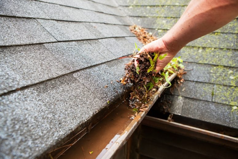 Gutter Cleaning Services In Hampstead