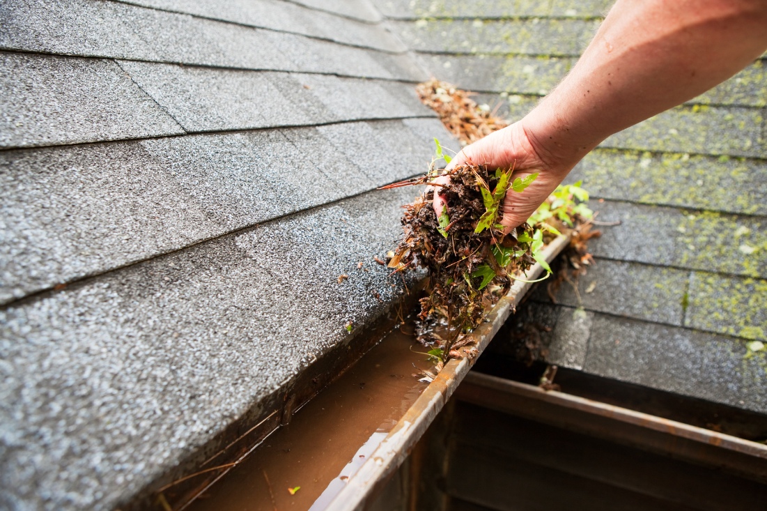 Gutter Cleaning Services In Hampstead