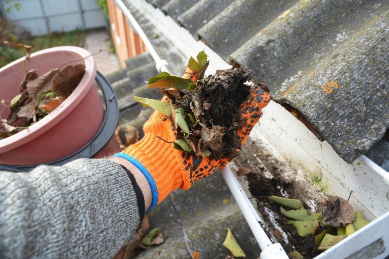 Gutter Cleaning Services in Queens Park