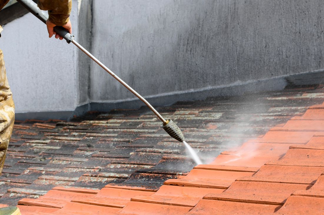 Roof Cleaning Services in Notting Hill