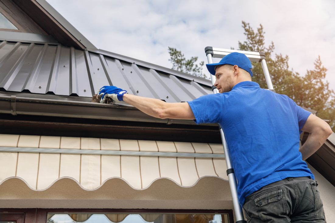 Gutter Cleaning Services in Hampstead