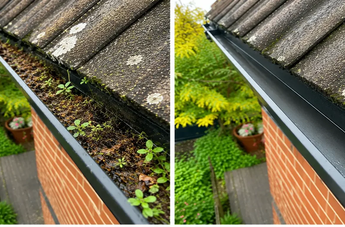 Professional gutter cleaning results